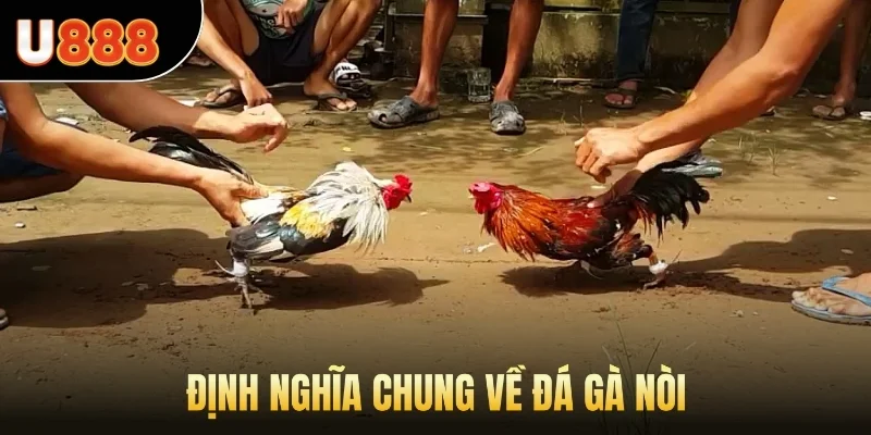 Định nghĩa chung về đá gà nòi