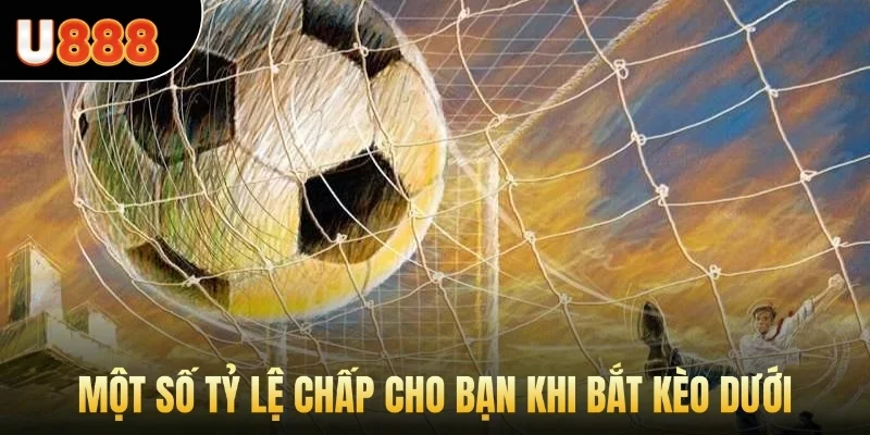 Một số tỷ lệ chấp cho bạn khi bắt kèo dưới