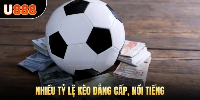 Nhiều tỷ lệ kèo đẳng cấp, nổi tiếng